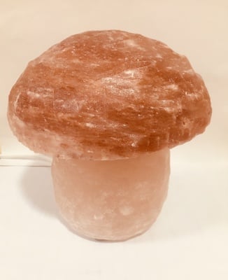 Mushroom-shaped Himalayan salt lamp